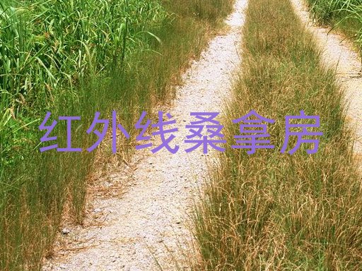 红外线桑拿房
