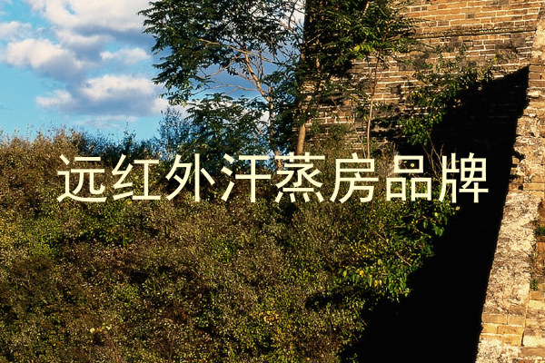 远红外汗蒸房品牌