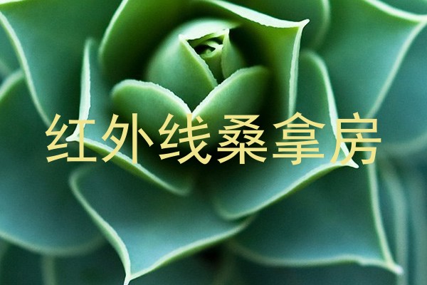 红外线桑拿房