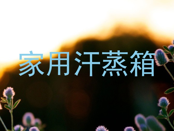 家用汗蒸箱