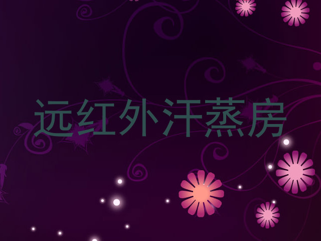 远红外汗蒸房