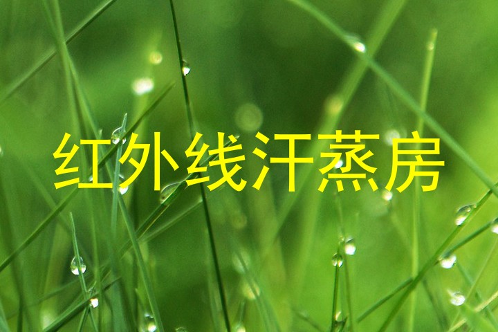 红外线汗蒸房