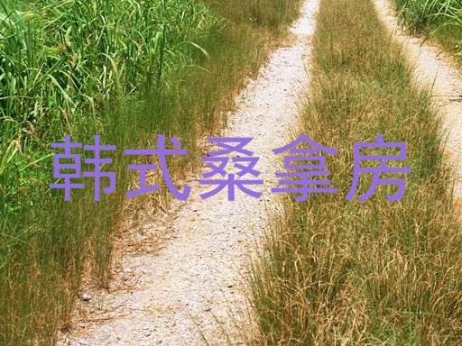 韩式桑拿房