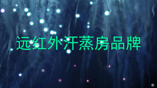 远红外汗蒸房品牌