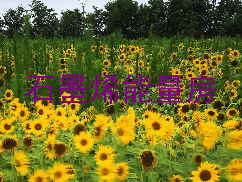 石墨烯能量房