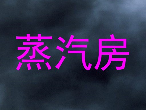 蒸汽房