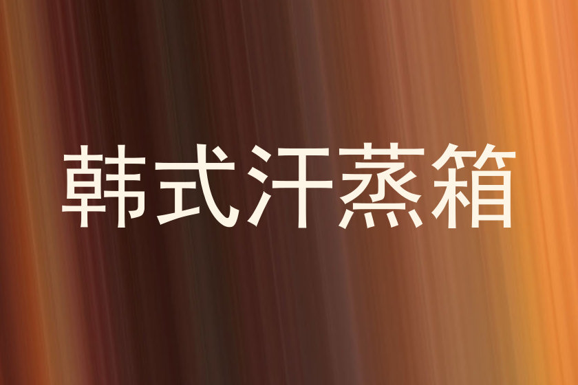 韩式汗蒸箱