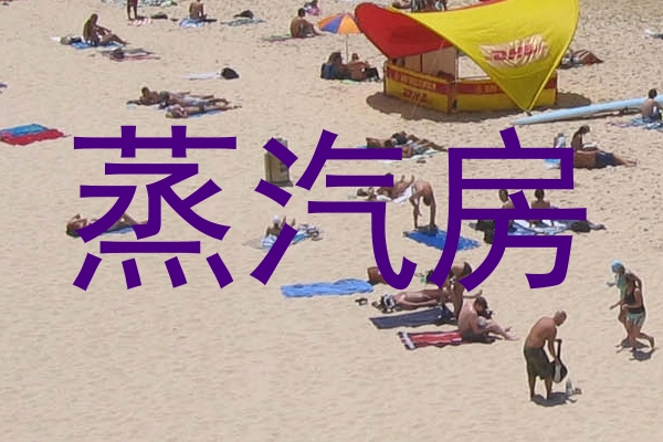 蒸汽房