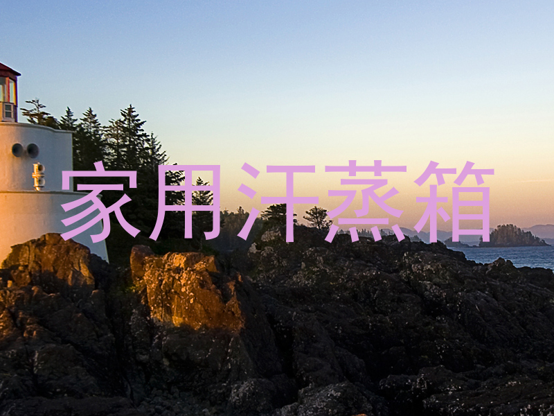 家用汗蒸箱