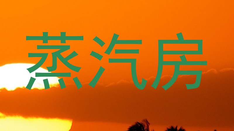 蒸汽房