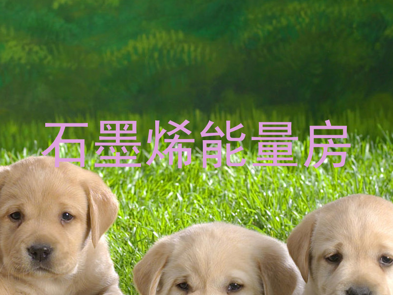 石墨烯能量房