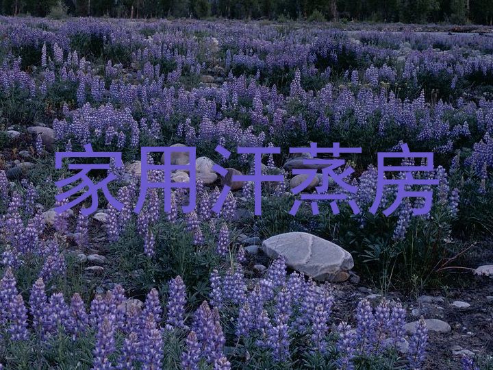 家用汗蒸房