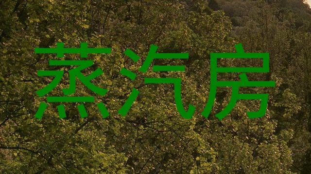 蒸汽房