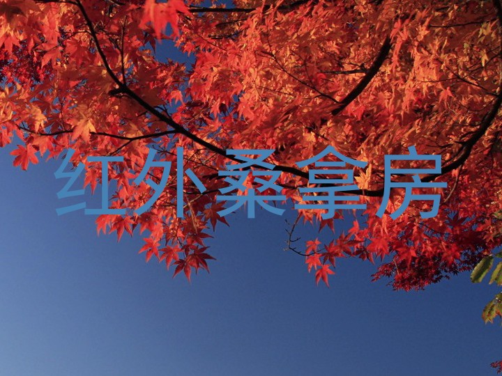 红外桑拿房