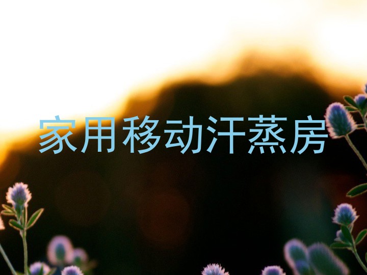 家用移动汗蒸房