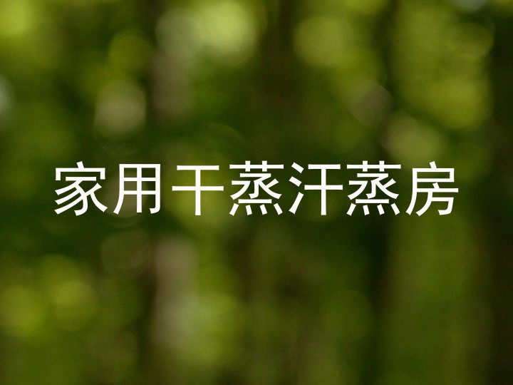 家用干蒸汗蒸房