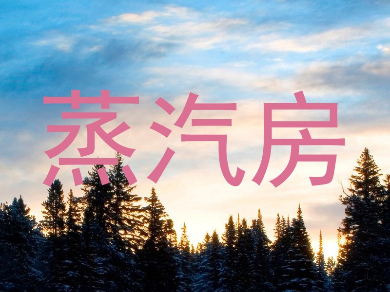 蒸汽房