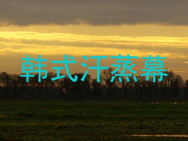 韩式汗蒸幕