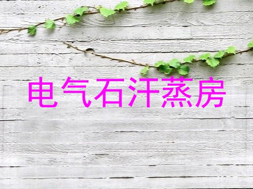 电气石汗蒸房