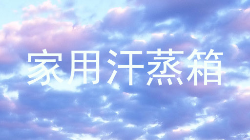家用汗蒸箱