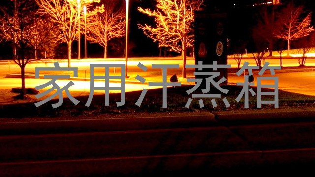 家用汗蒸箱