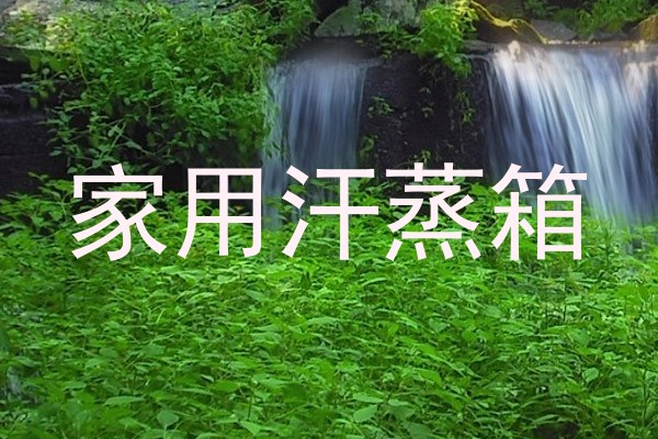家用汗蒸箱