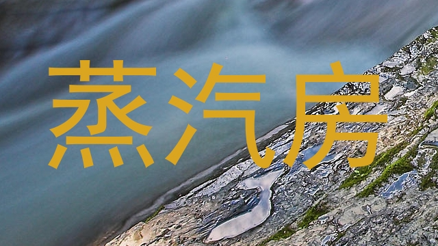 蒸汽房