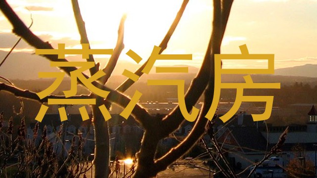 蒸汽房