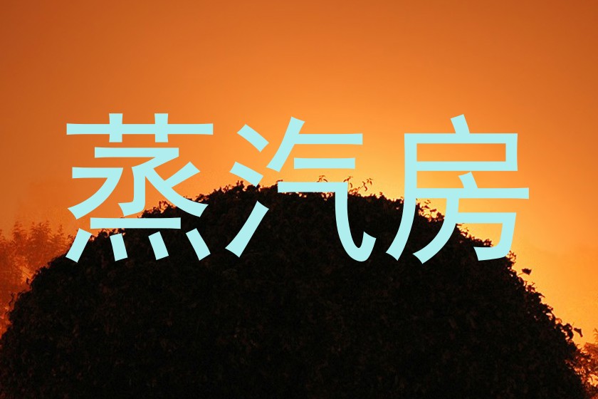 蒸汽房