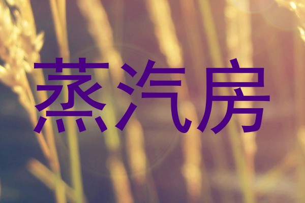 蒸汽房