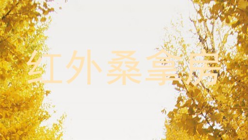 红外桑拿房