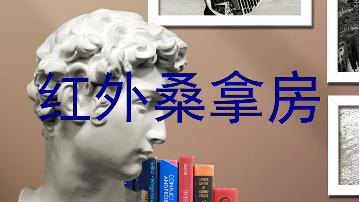 红外桑拿房