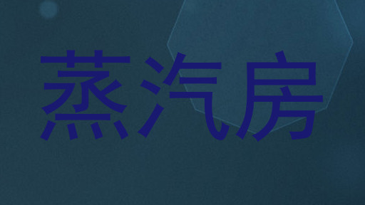 蒸汽房