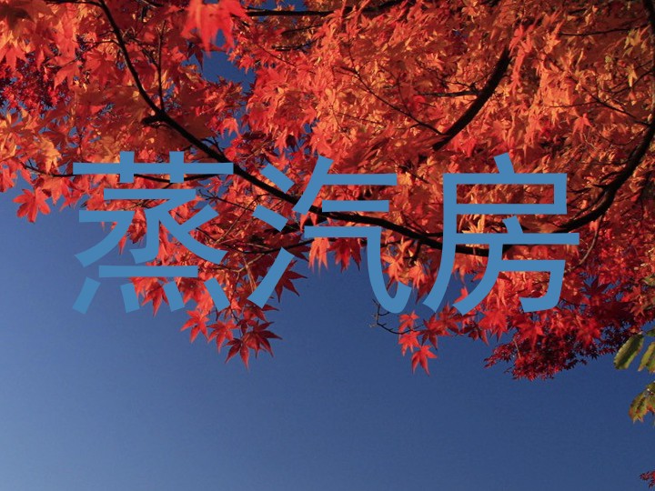 蒸汽房