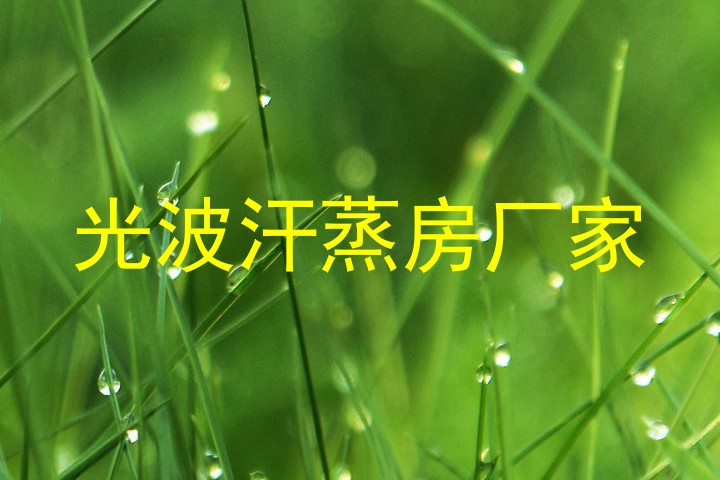 光波汗蒸房厂家
