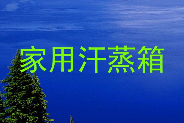 家用汗蒸箱