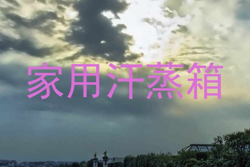 家用汗蒸箱