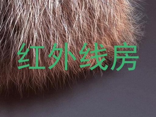红外线房