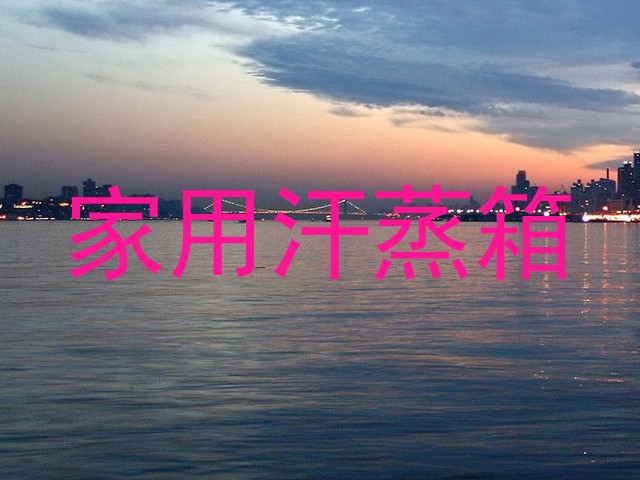 家用汗蒸箱