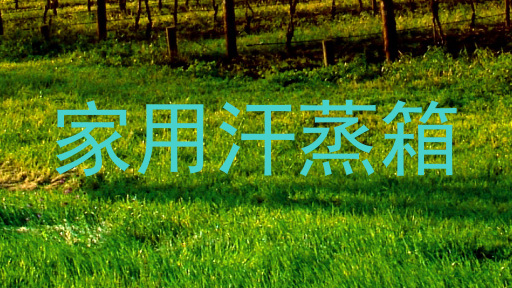 家用汗蒸箱