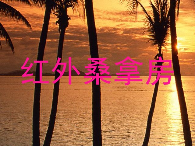 红外桑拿房