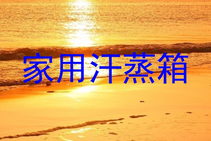 家用汗蒸箱