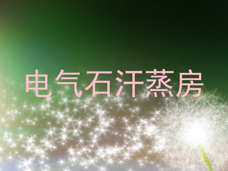 电气石汗蒸房
