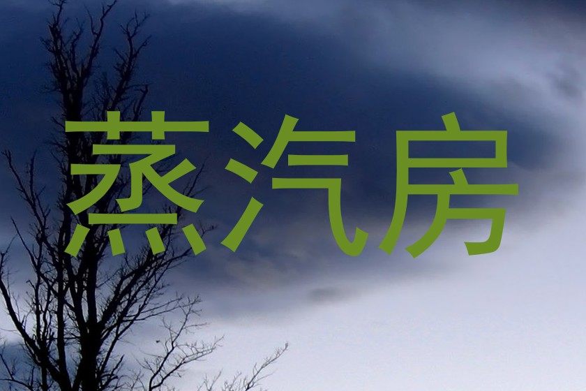 蒸汽房