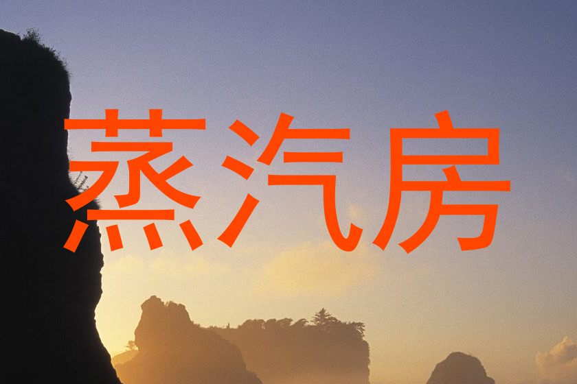 蒸汽房