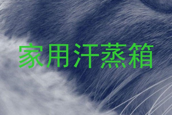 家用汗蒸箱