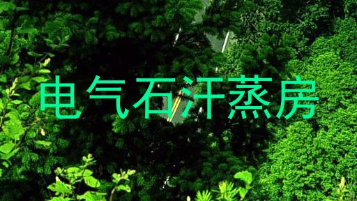 电气石汗蒸房