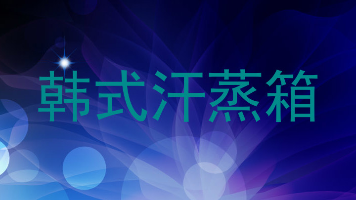 韩式汗蒸箱