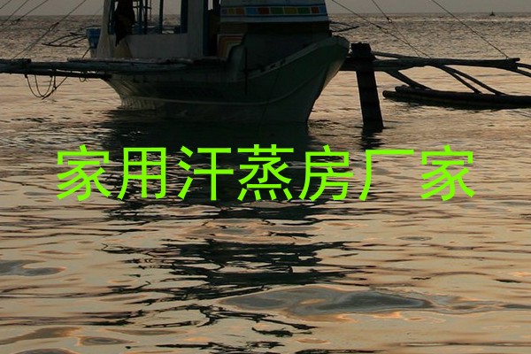 家用汗蒸房厂家