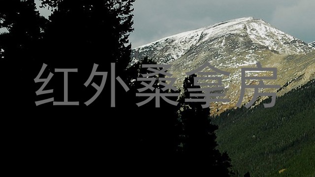 红外桑拿房